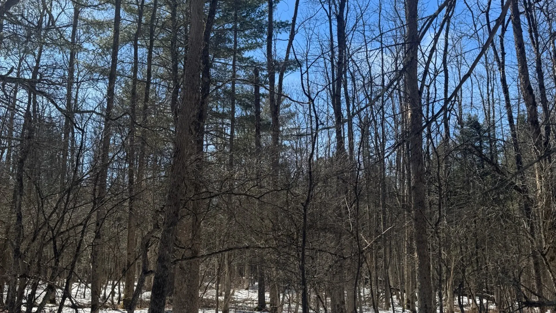 Property at 0 Keating Road, Fly Creek, NY 13337 4