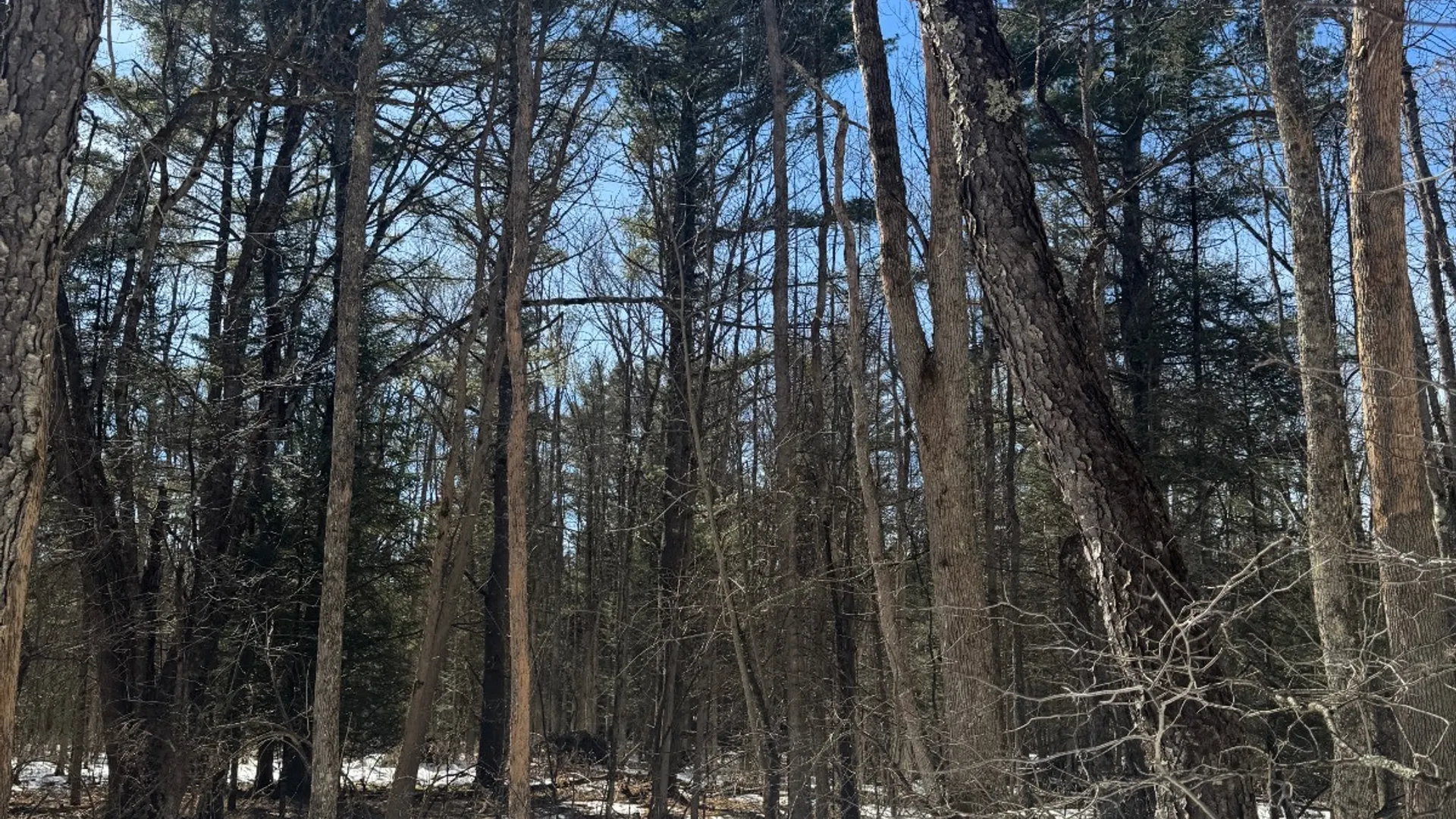 Property at 0 Keating Road, Fly Creek, NY 13337 6