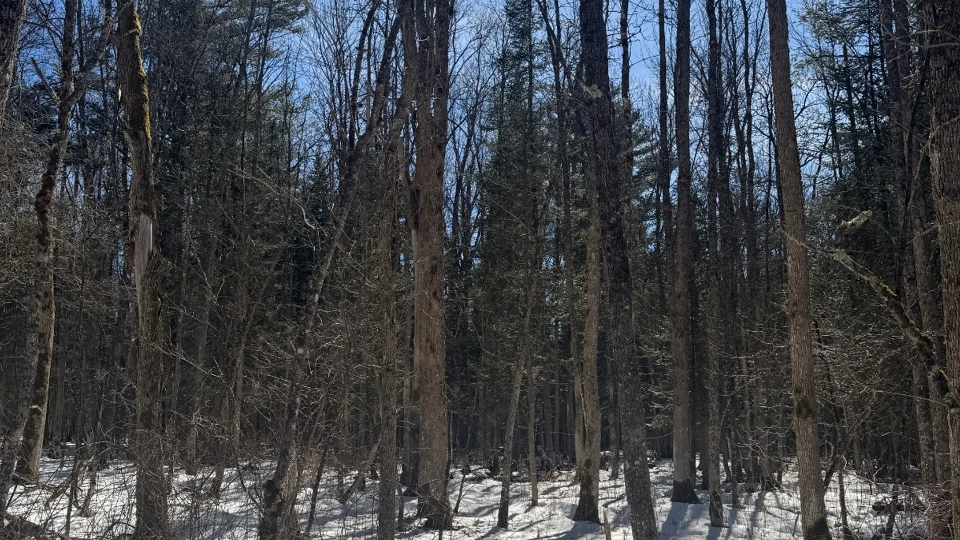 Property at 0 Keating Road, Fly Creek, NY 13337 8
