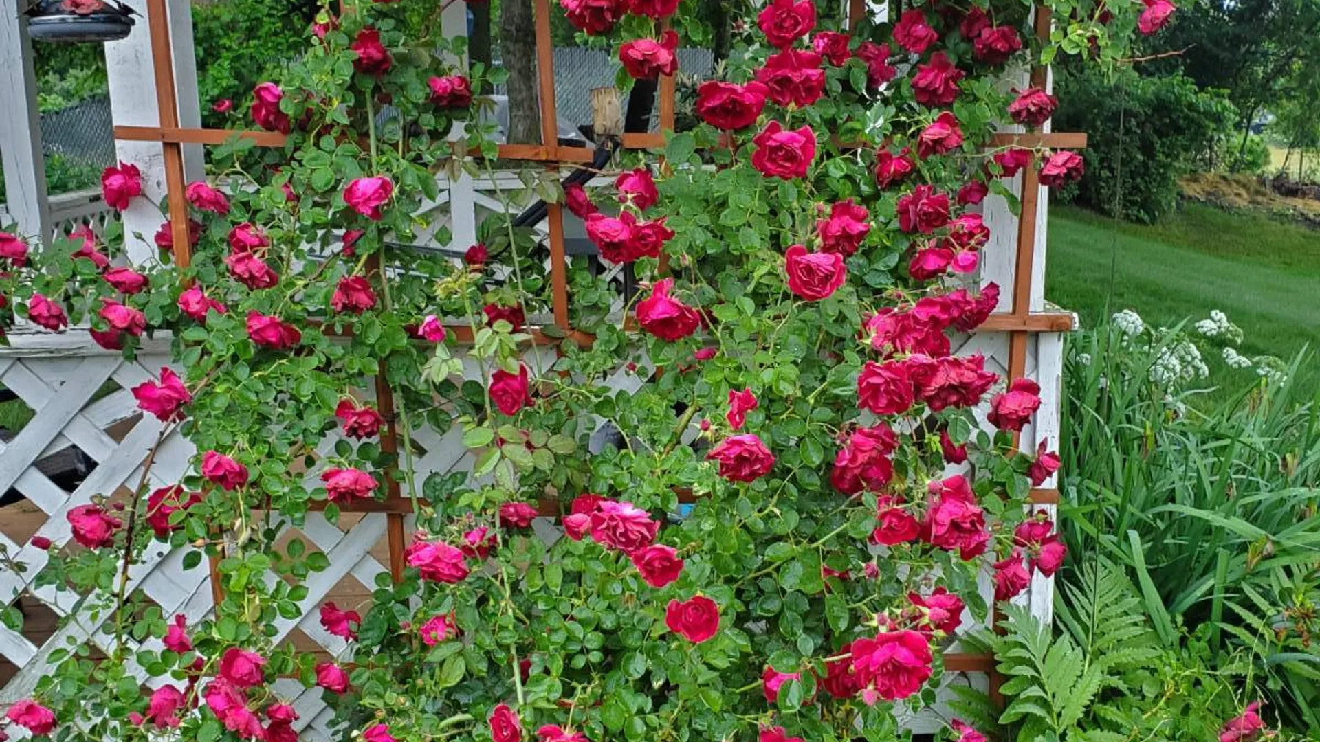 Property at 51 Cook Cir, Schuylerville, NY 12831 29