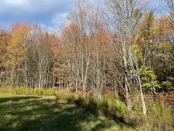 Property at 1.3 County Route 24, Antwerp, NY 13608