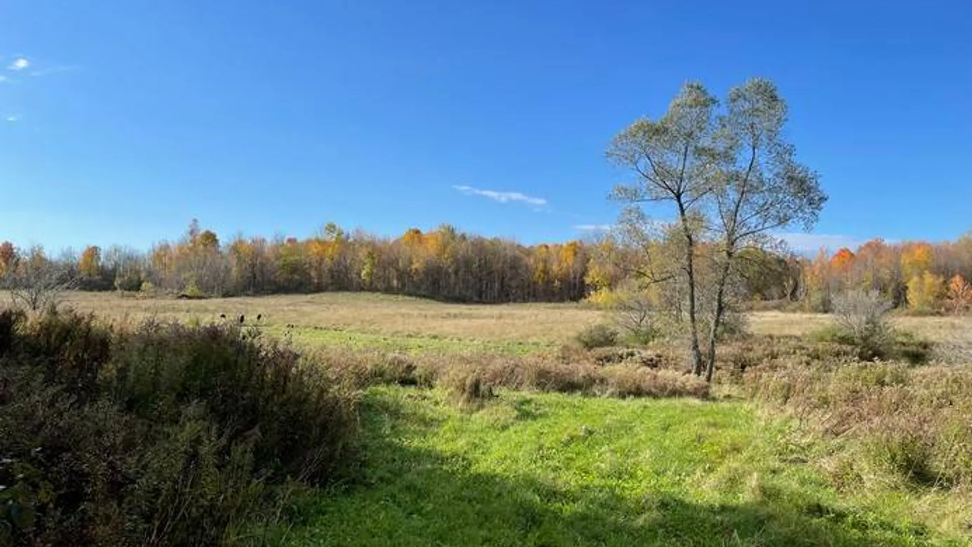 Property at 1.3 County Route 24, Antwerp, NY 13608 4