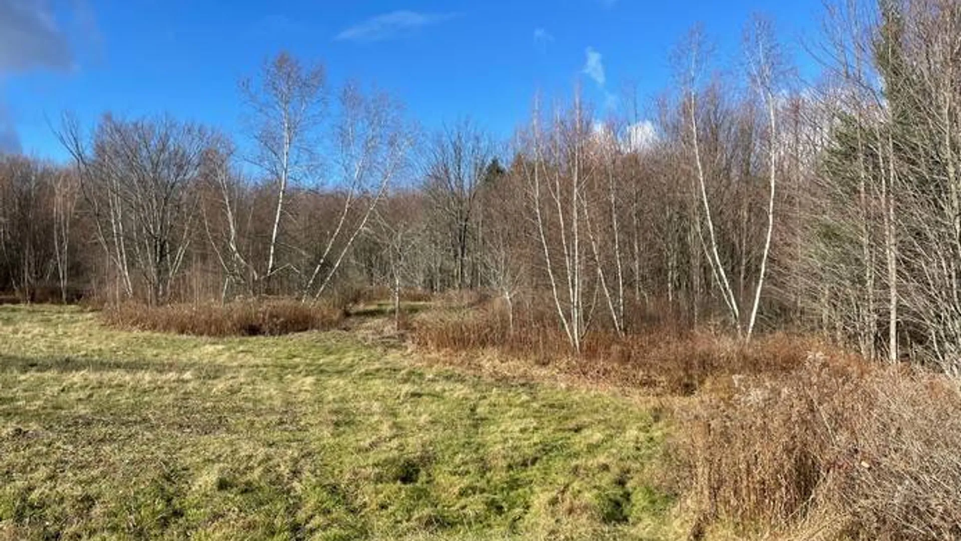 Property at 1.3 County Route 24, Antwerp, NY 13608 5