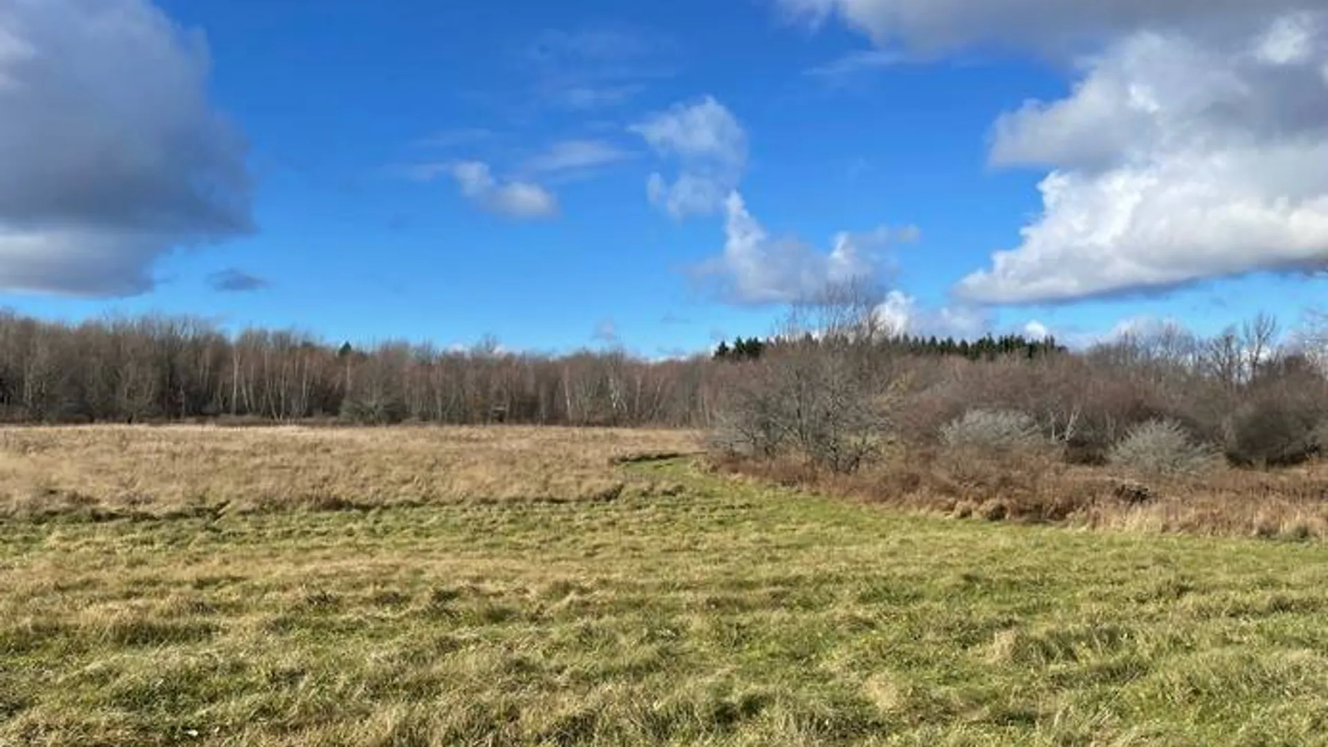 Property at 1.3 County Route 24, Antwerp, NY 13608 6