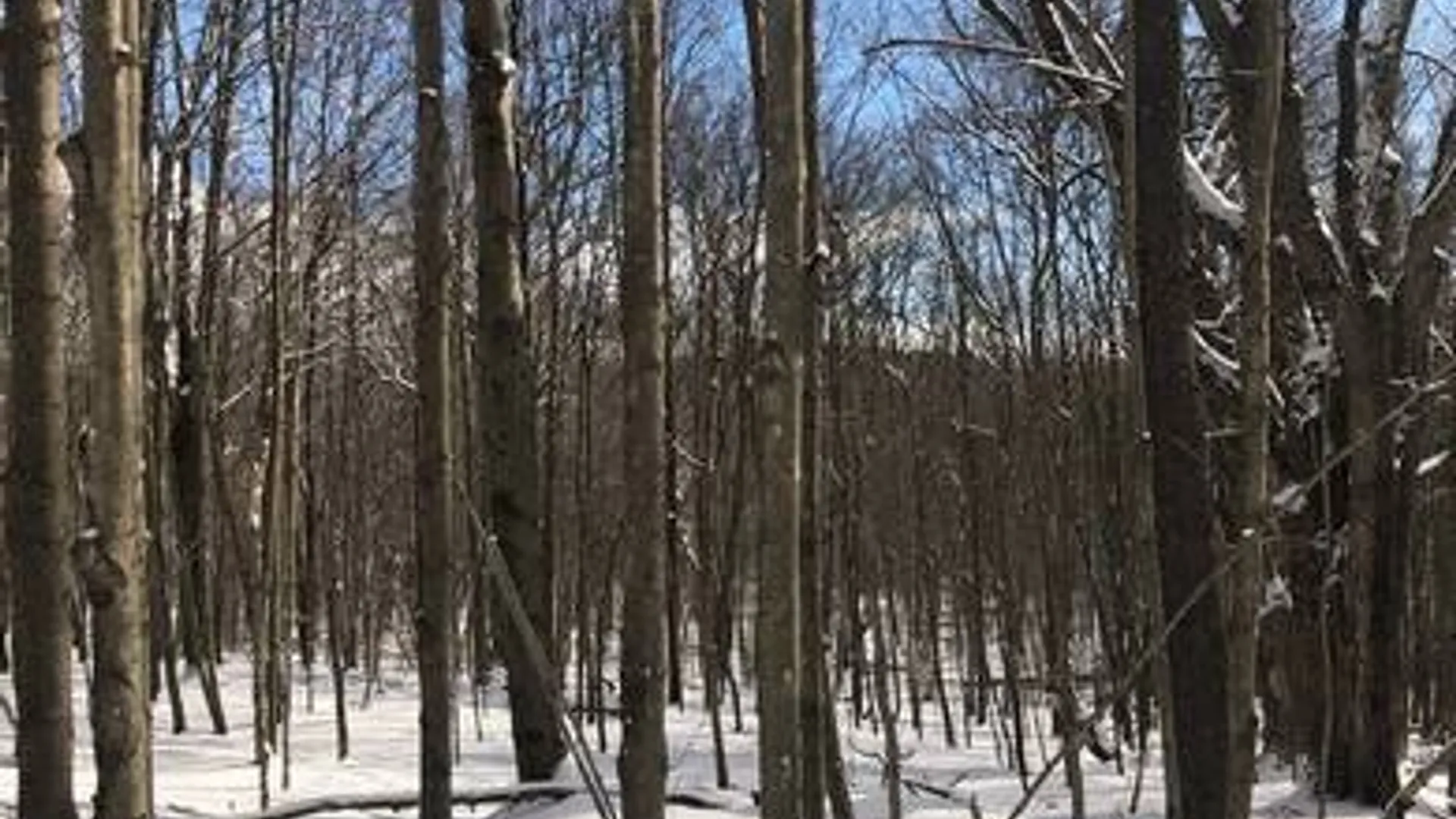 Property at 204 Valley View Road, Smyrna, NY 13464 10