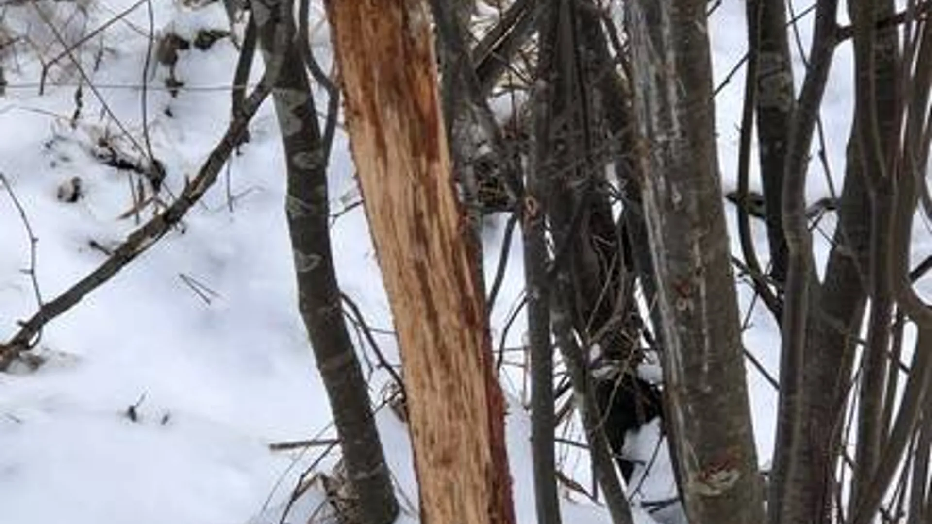 Property at 204 Valley View Road, Smyrna, NY 13464 11