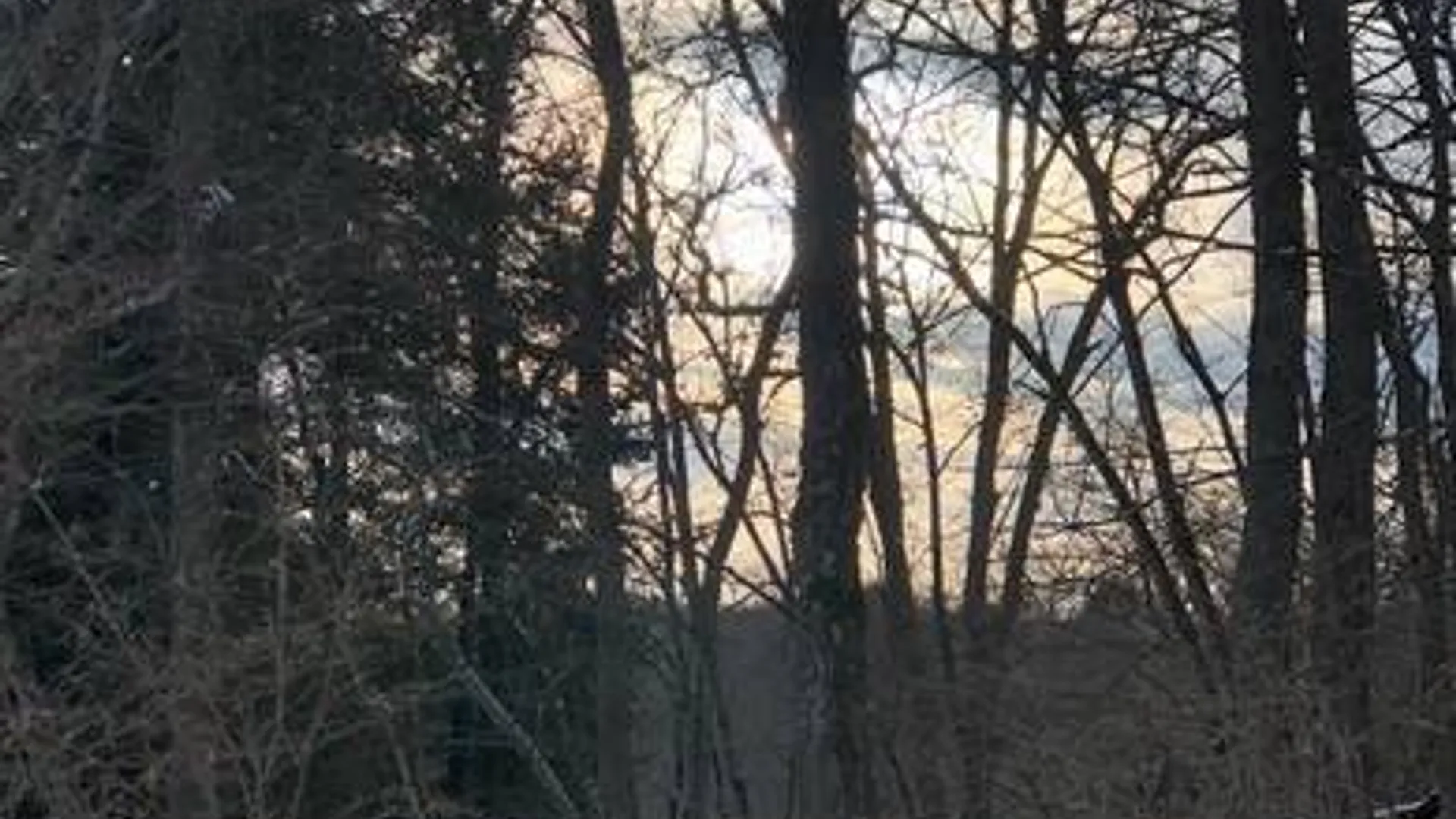 Property at 204 Valley View Road, Smyrna, NY 13464 7