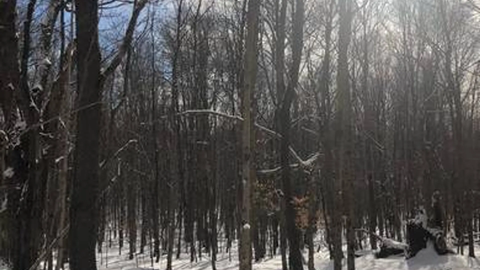 Property at 204 Valley View Road, Smyrna, NY 13464 9