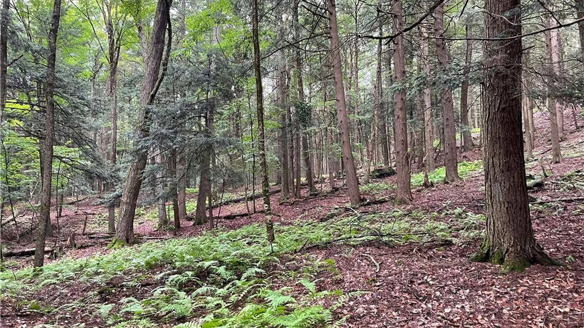 Property at (17.-1-10.7 & 91 Horseshoe Lake Rd, Bethel, NY 12720 11
