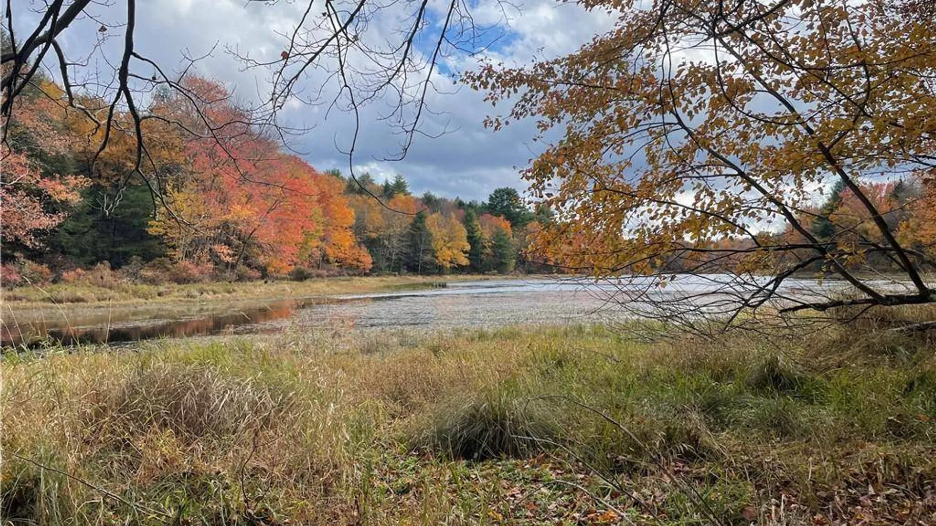 Property at (17.-1-10.7 & 91 Horseshoe Lake Rd, Bethel, NY 12720 14