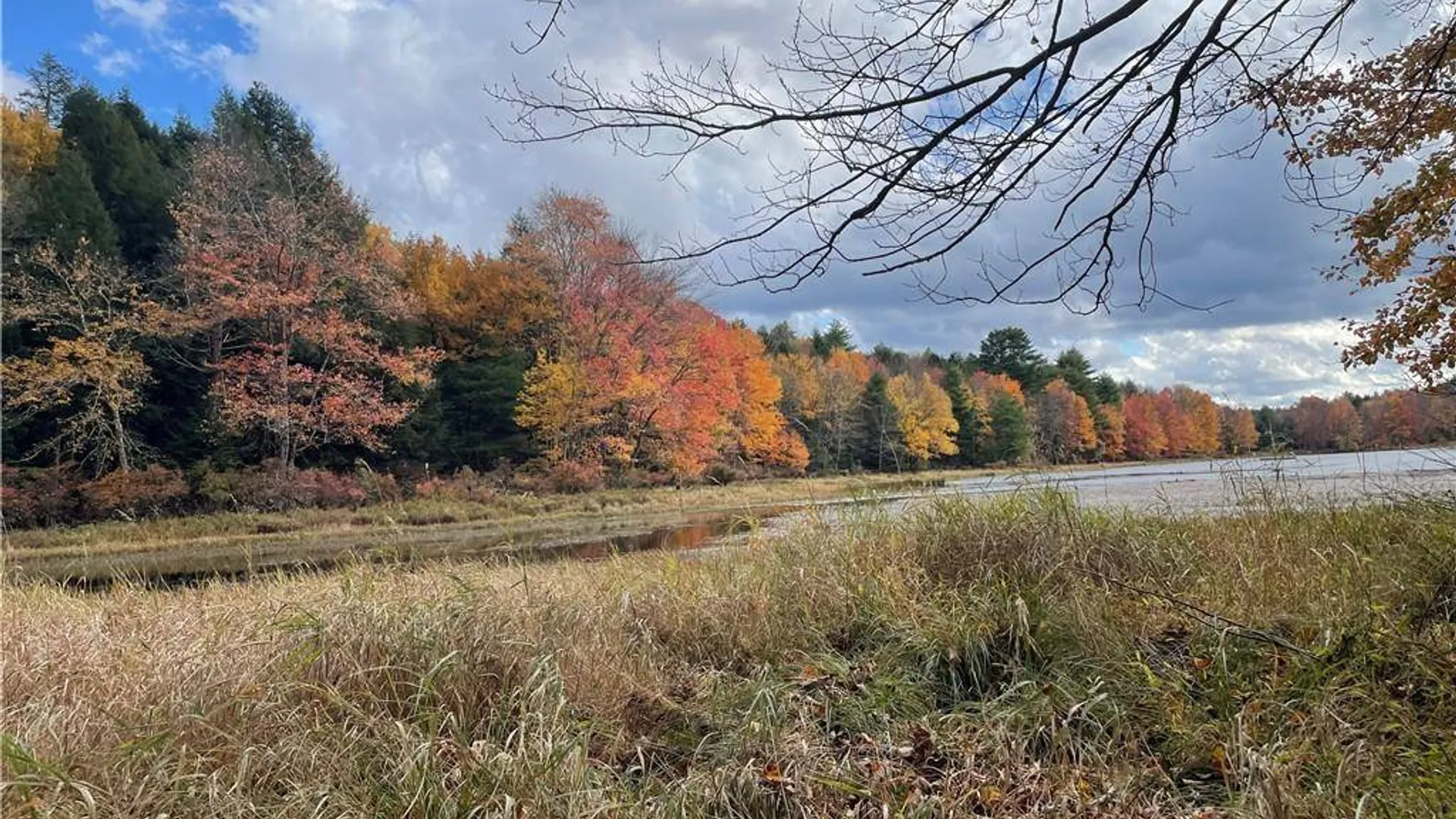 Property at (17.-1-10.7 & 91 Horseshoe Lake Rd, Bethel, NY 12720 15