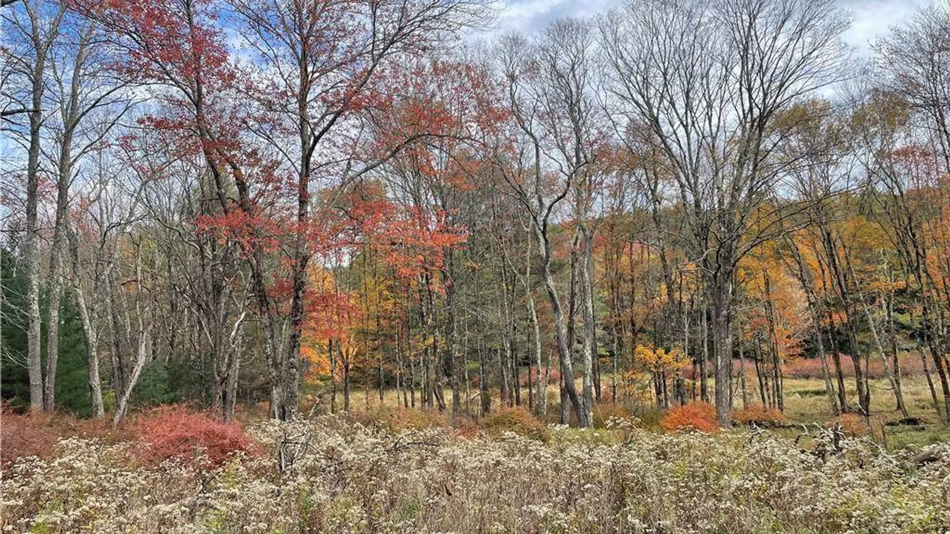 Property at (17.-1-10.7 & 91 Horseshoe Lake Rd, Bethel, NY 12720 16