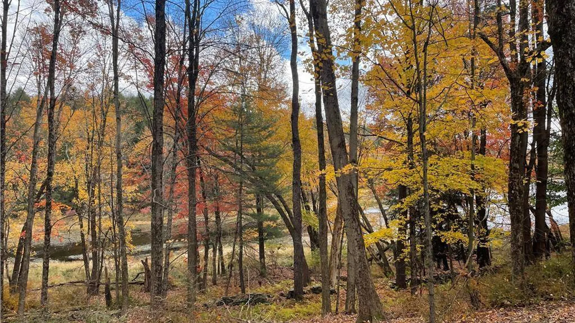 Property at (17.-1-10.7 & 91 Horseshoe Lake Rd, Bethel, NY 12720 17