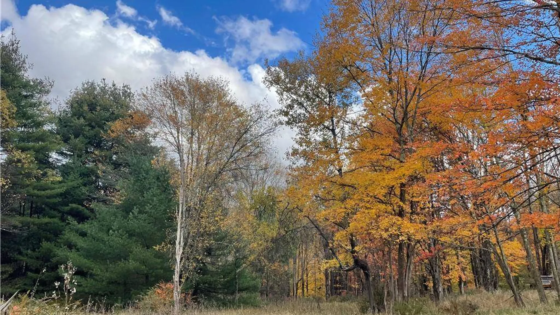 Property at (17.-1-10.7 & 91 Horseshoe Lake Rd, Bethel, NY 12720 18