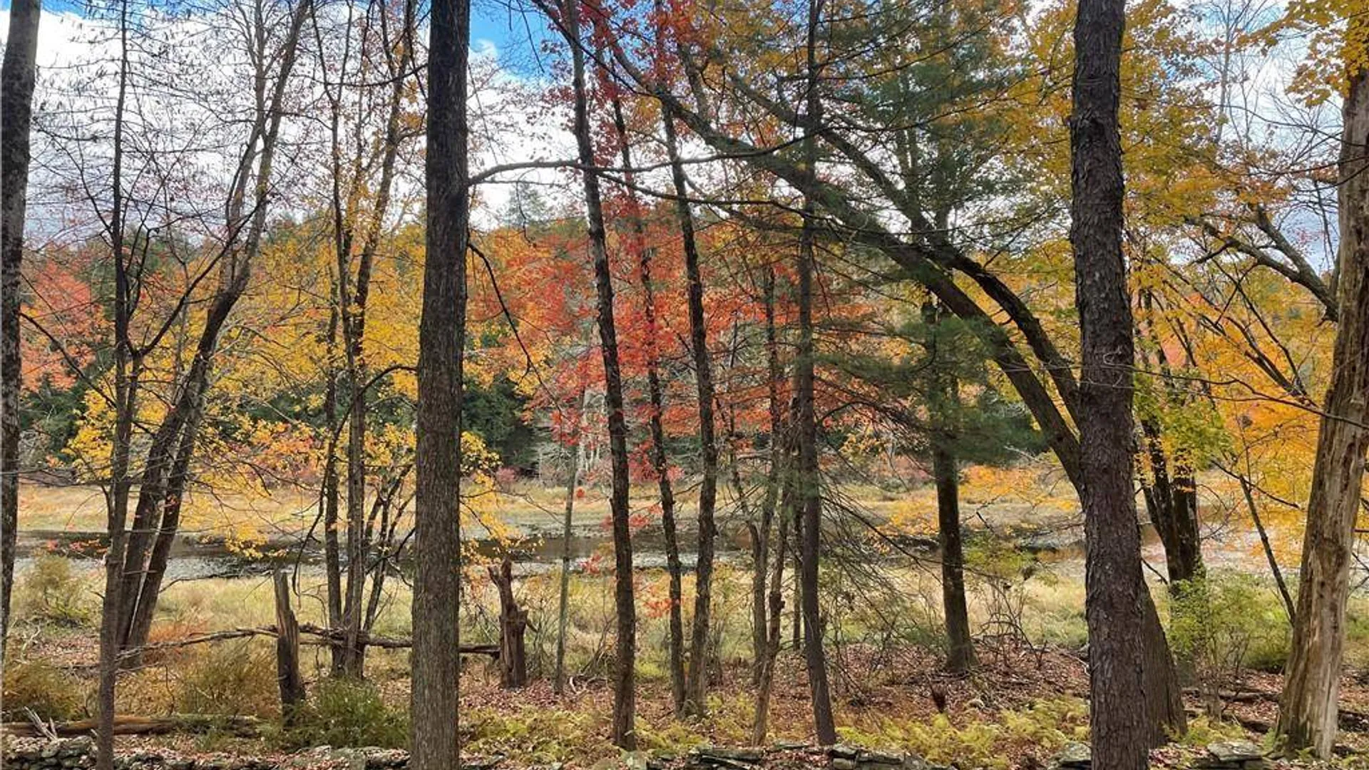 Property at (17.-1-10.7 & 91 Horseshoe Lake Rd, Bethel, NY 12720 19