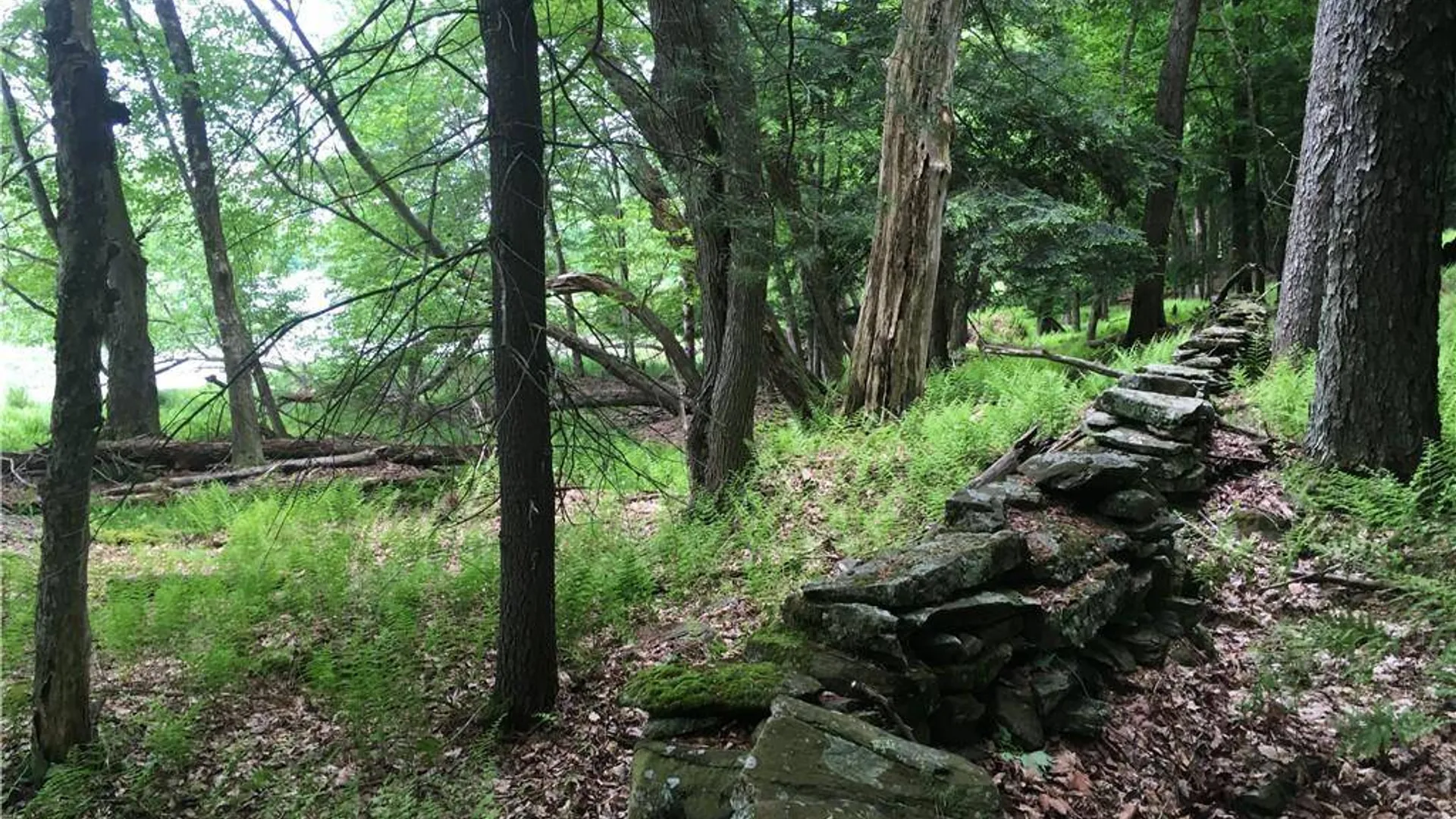 Property at (17.-1-10.7 & 91 Horseshoe Lake Rd, Bethel, NY 12720 2