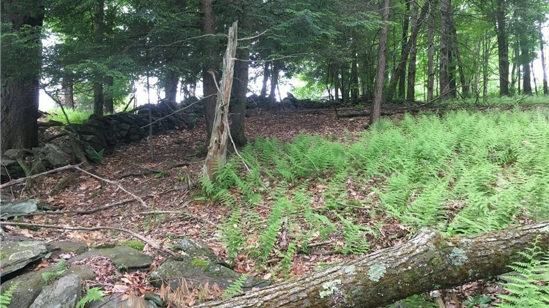 Property at (17.-1-10.7 & 91 Horseshoe Lake Rd, Bethel, NY 12720 3