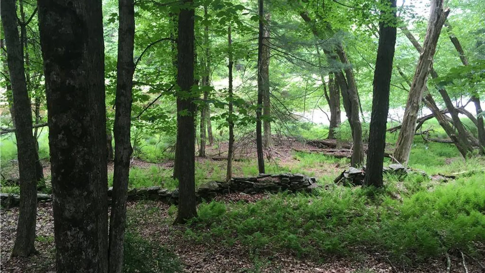Property at (17.-1-10.7 & 91 Horseshoe Lake Rd, Bethel, NY 12720 4
