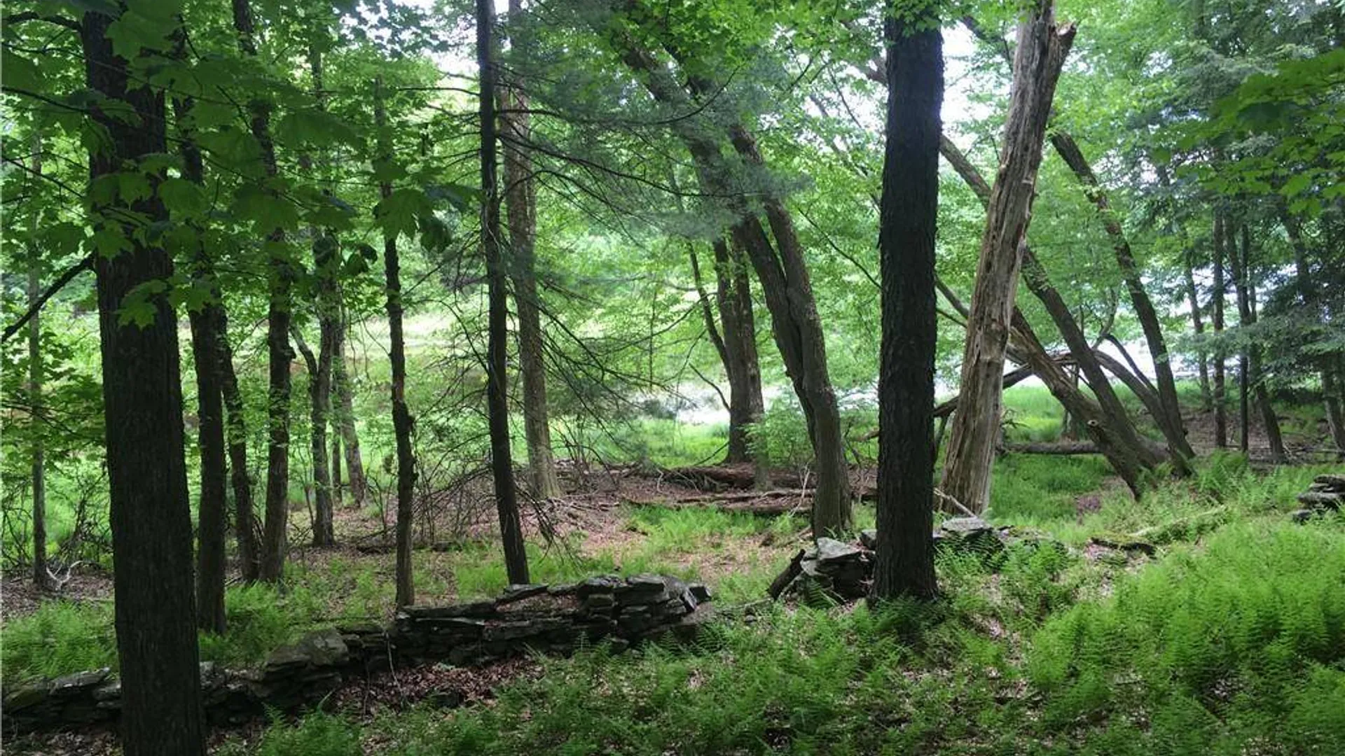 Property at (17.-1-10.7 & 91 Horseshoe Lake Rd, Bethel, NY 12720 5