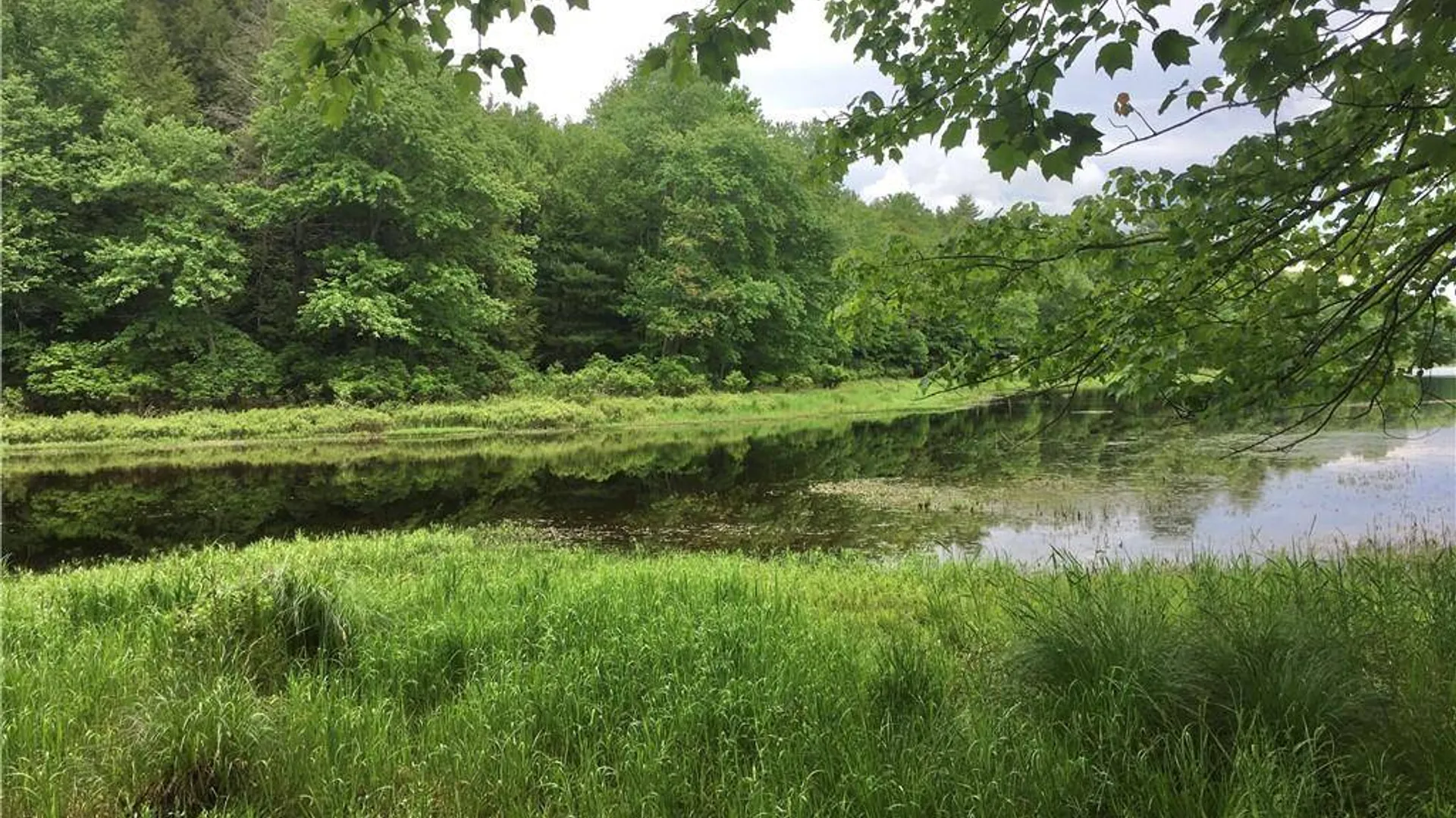 Property at (17.-1-10.7 & 91 Horseshoe Lake Rd, Bethel, NY 12720 7