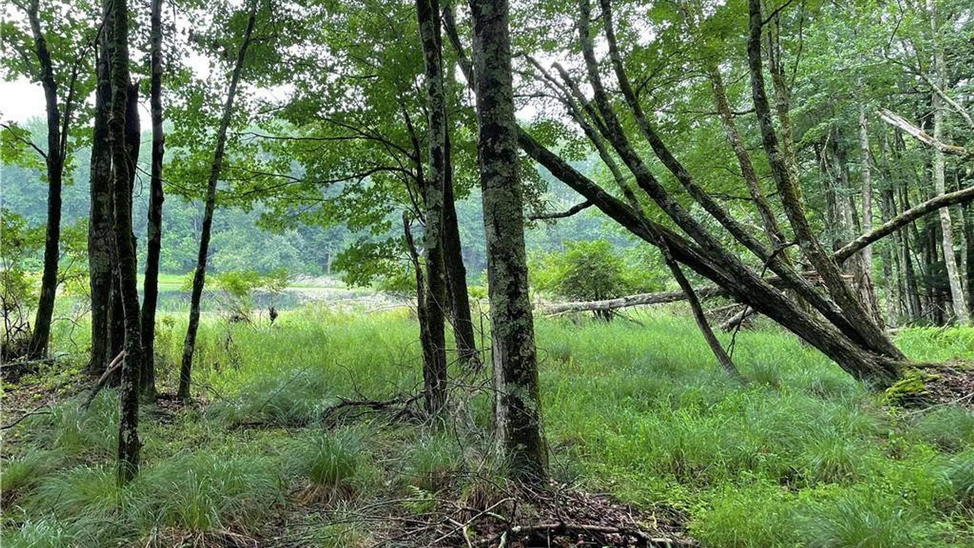 Property at (17.-1-10.7 & 91 Horseshoe Lake Rd, Bethel, NY 12720 8