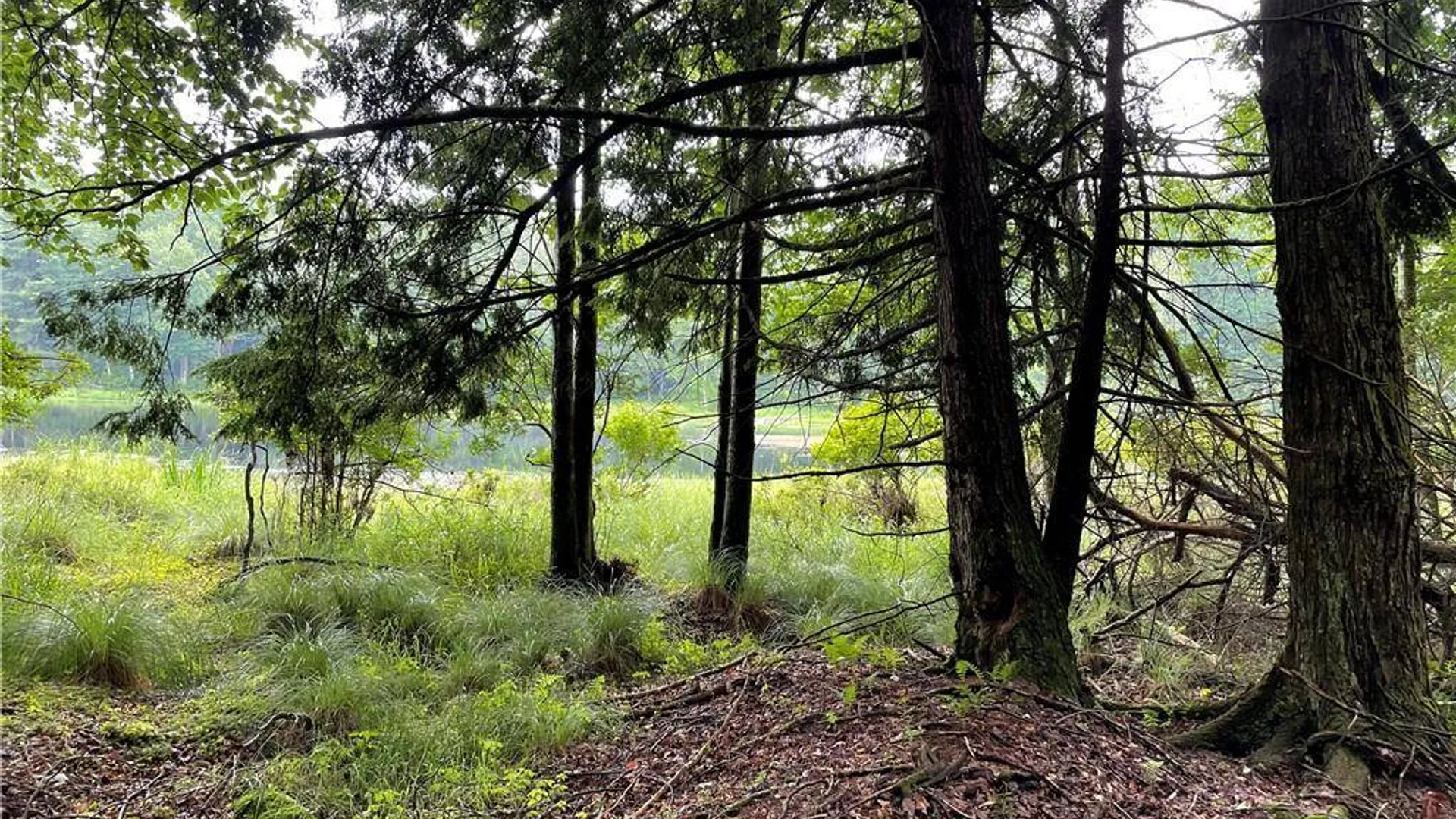 Property at (17.-1-10.7 & 91 Horseshoe Lake Rd, Bethel, NY 12720 9