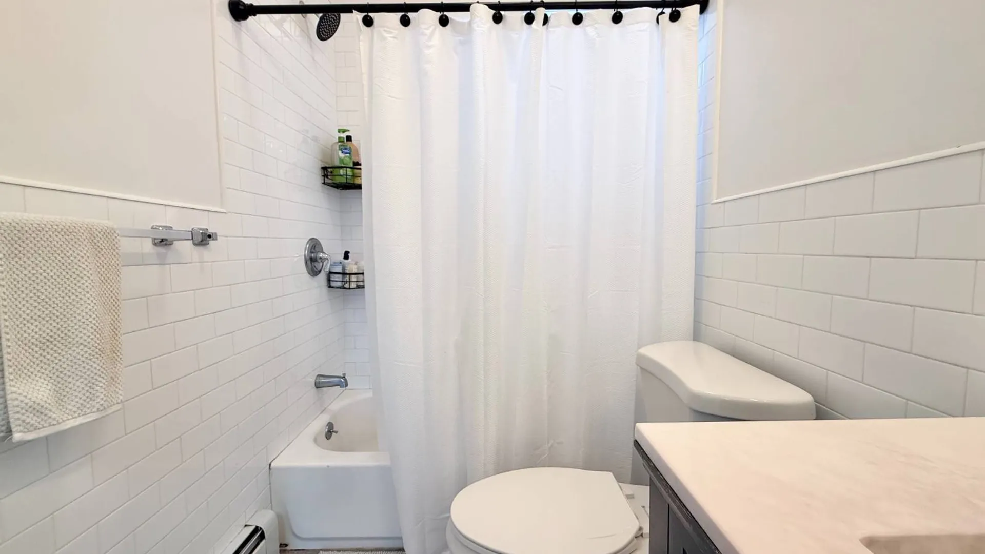 Property at 296 Eldert Lane, Brooklyn, NY 11208 10