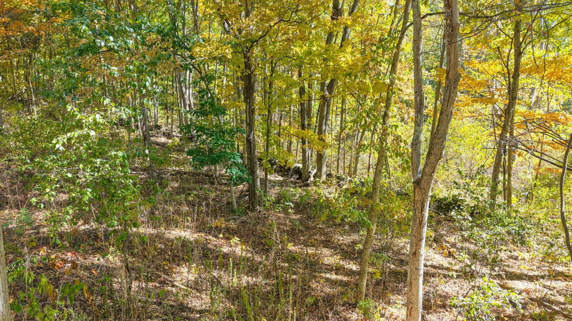 Property at 309 Carrera Lane, Granville, NY 12849 38