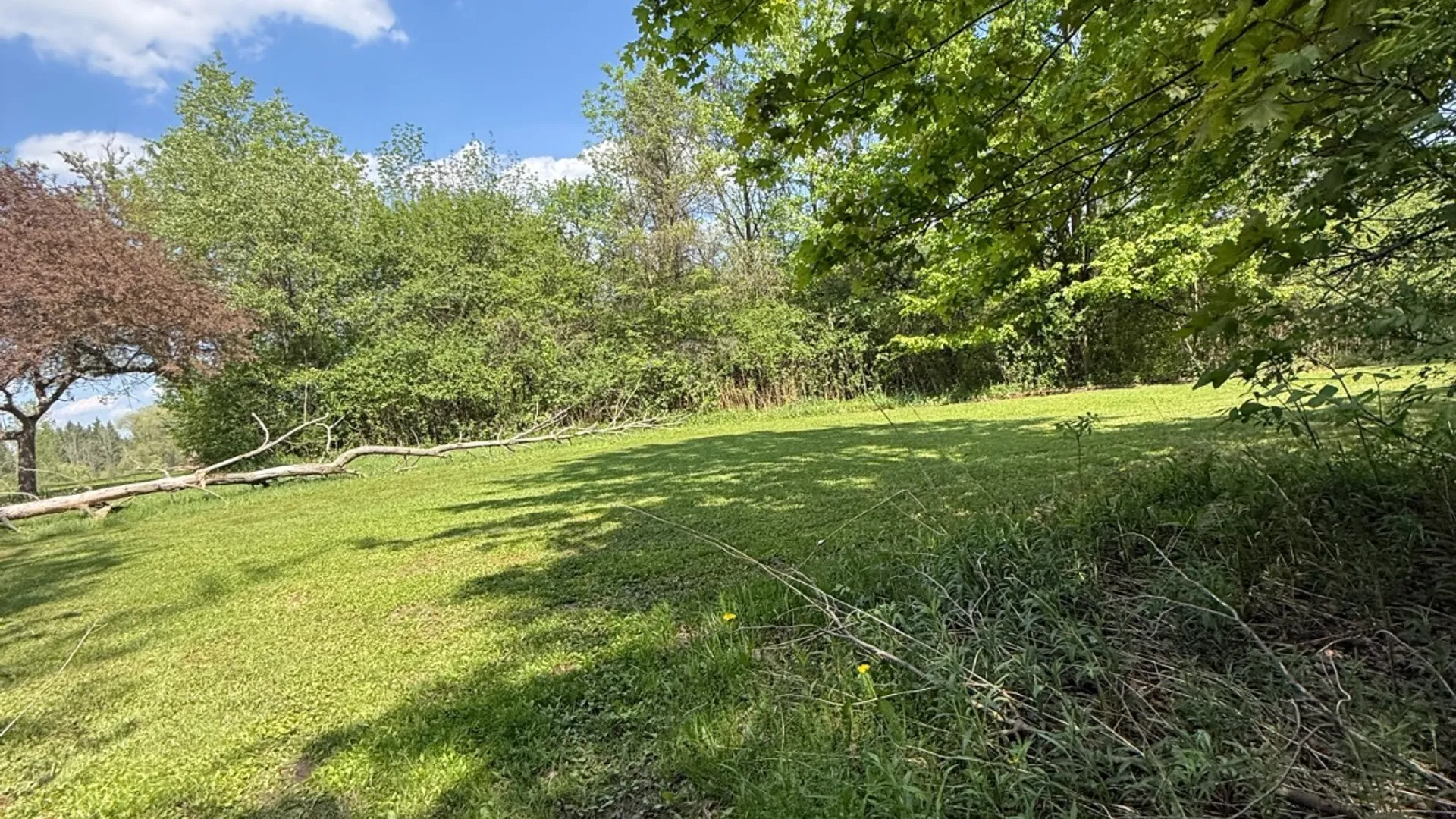 Property at 8356 Maple Rd, Clay, NY 13041 22