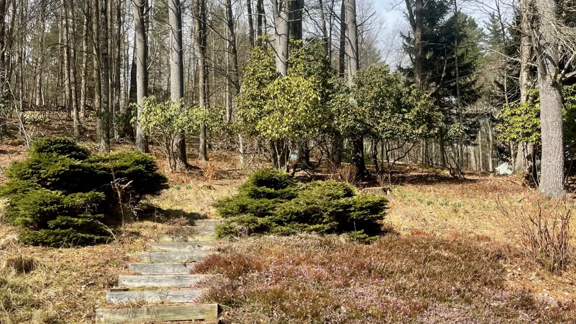 Property at 4 Newton Town Rd, Bainbridge, NY 13733 20