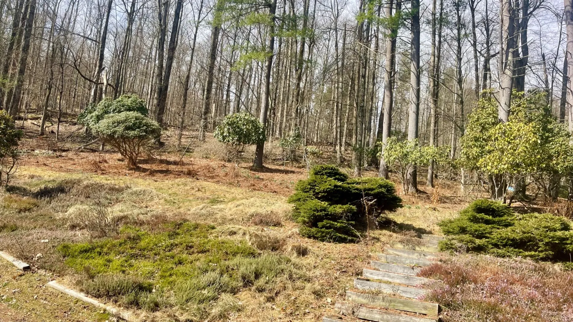 Property at 4 Newton Town Rd, Bainbridge, NY 13733 21