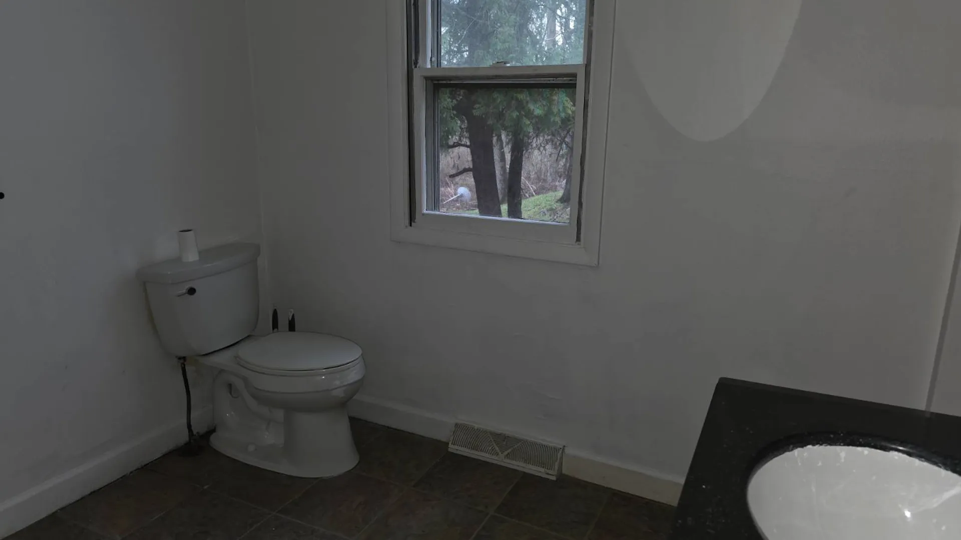 Property at 33 Brookline Ave, Elmira, NY 14905 15