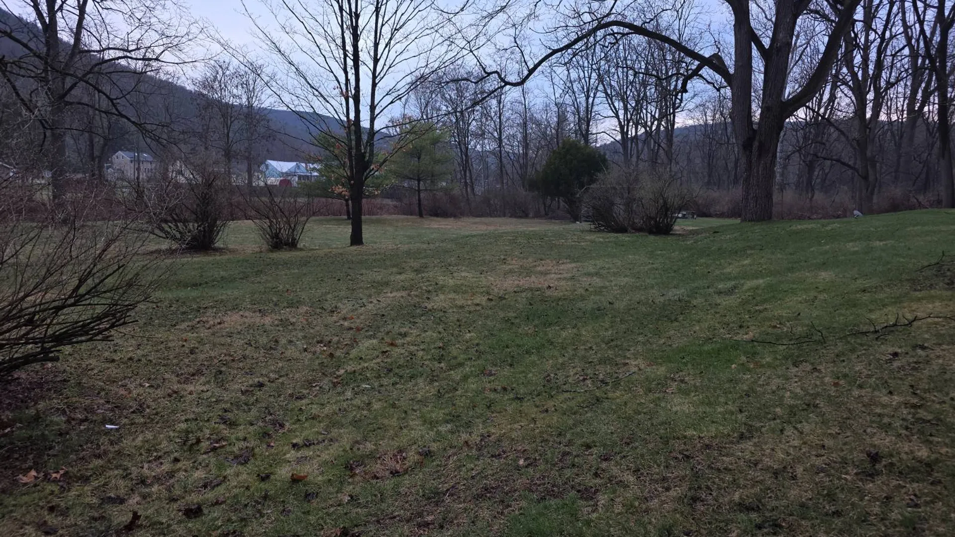 Property at 33 Brookline Ave, Elmira, NY 14905 2
