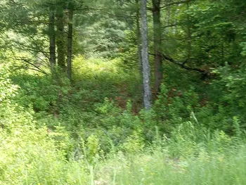 Property at 00 Crystal Lake Rd, Stratford, NY 13470