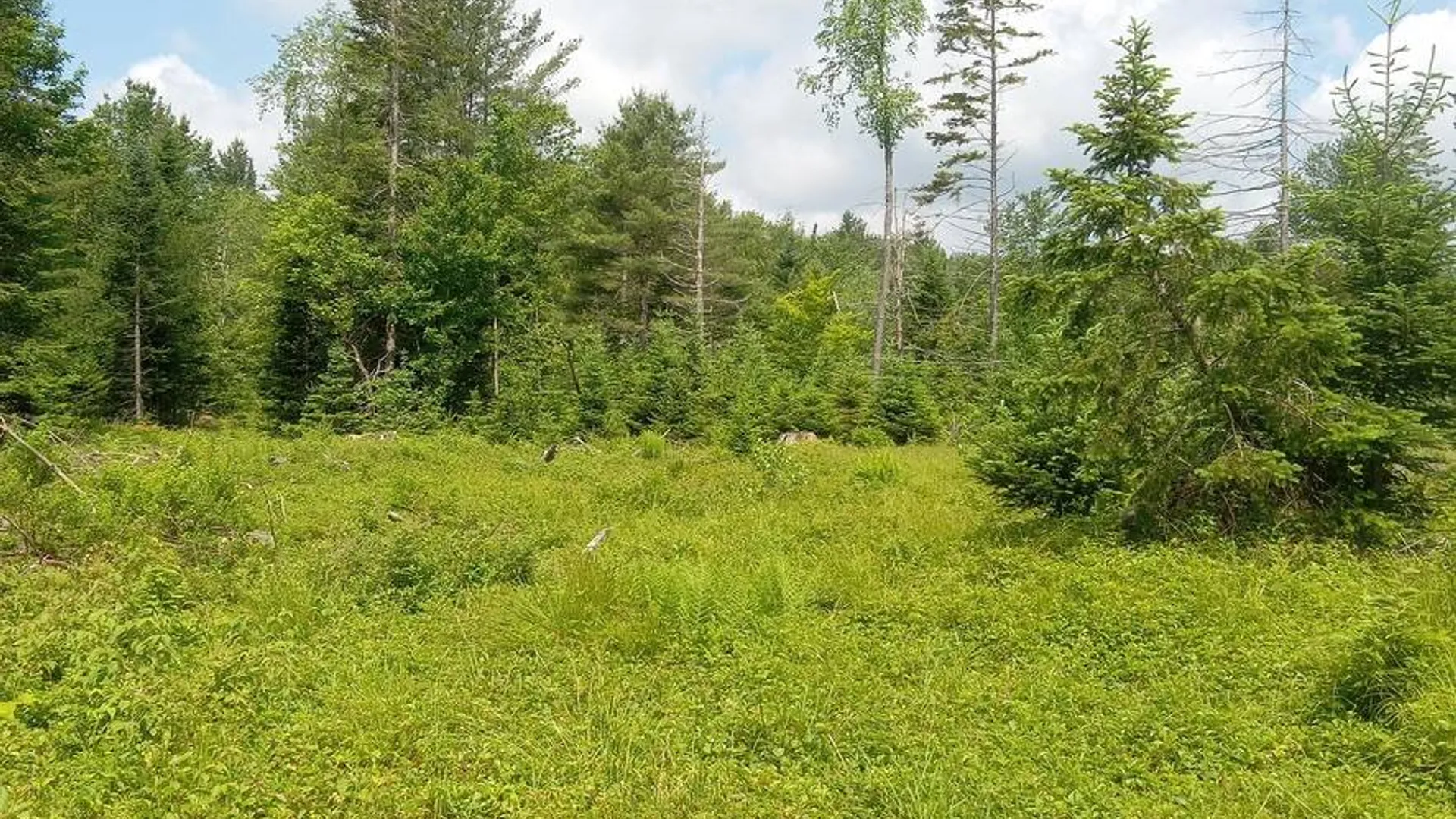 Property at 00 Crystal Lake Rd, Stratford, NY 13470 2