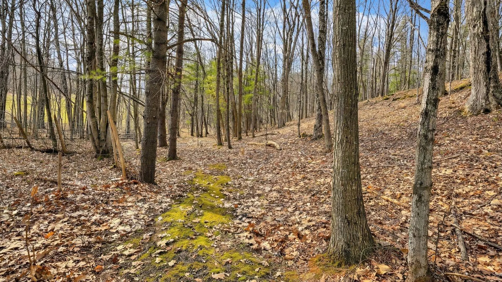 Property at 533 Glimmerglen Rd, Cooperstown, NY 13326 65