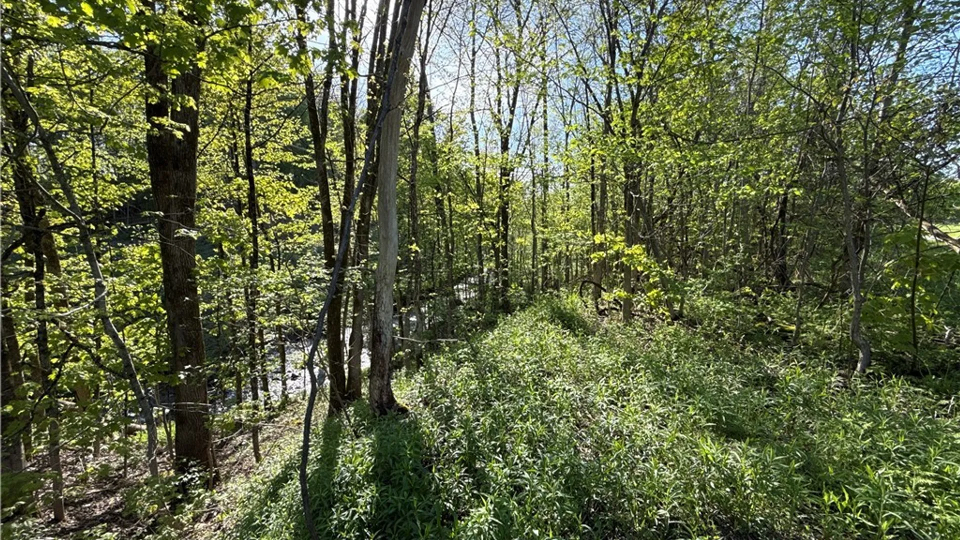 Property at 241 Jerry Look Road, Orwell, NY 13144 36