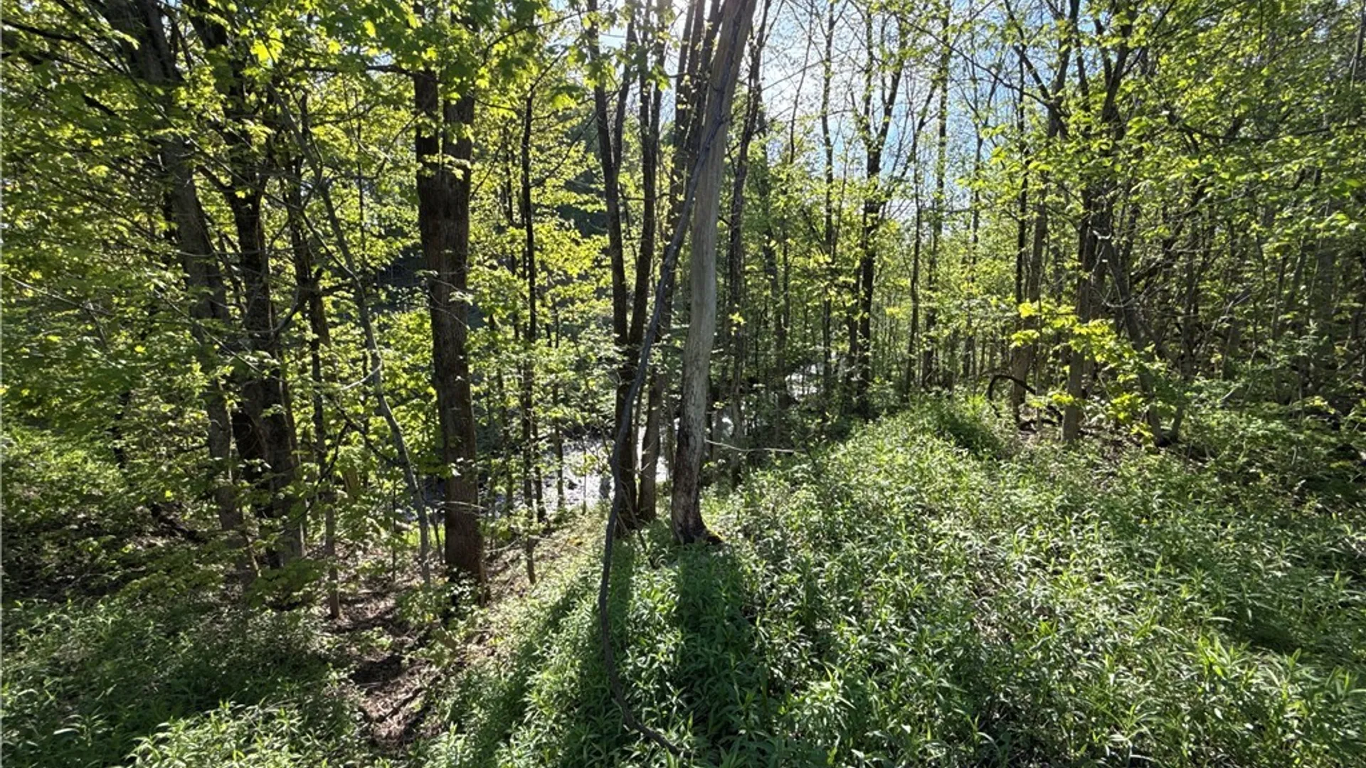 Property at 241 Jerry Look Road, Orwell, NY 13144 37