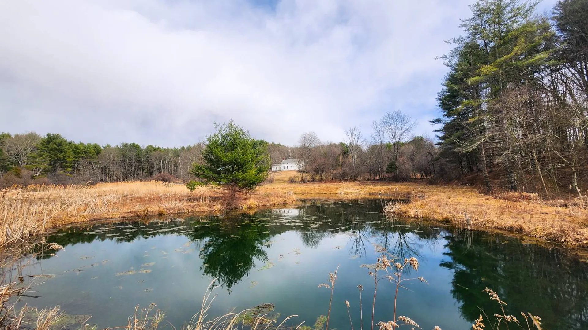 Property at 00WP#2 Drake Hill Rd, Freehold, NY 12431 23