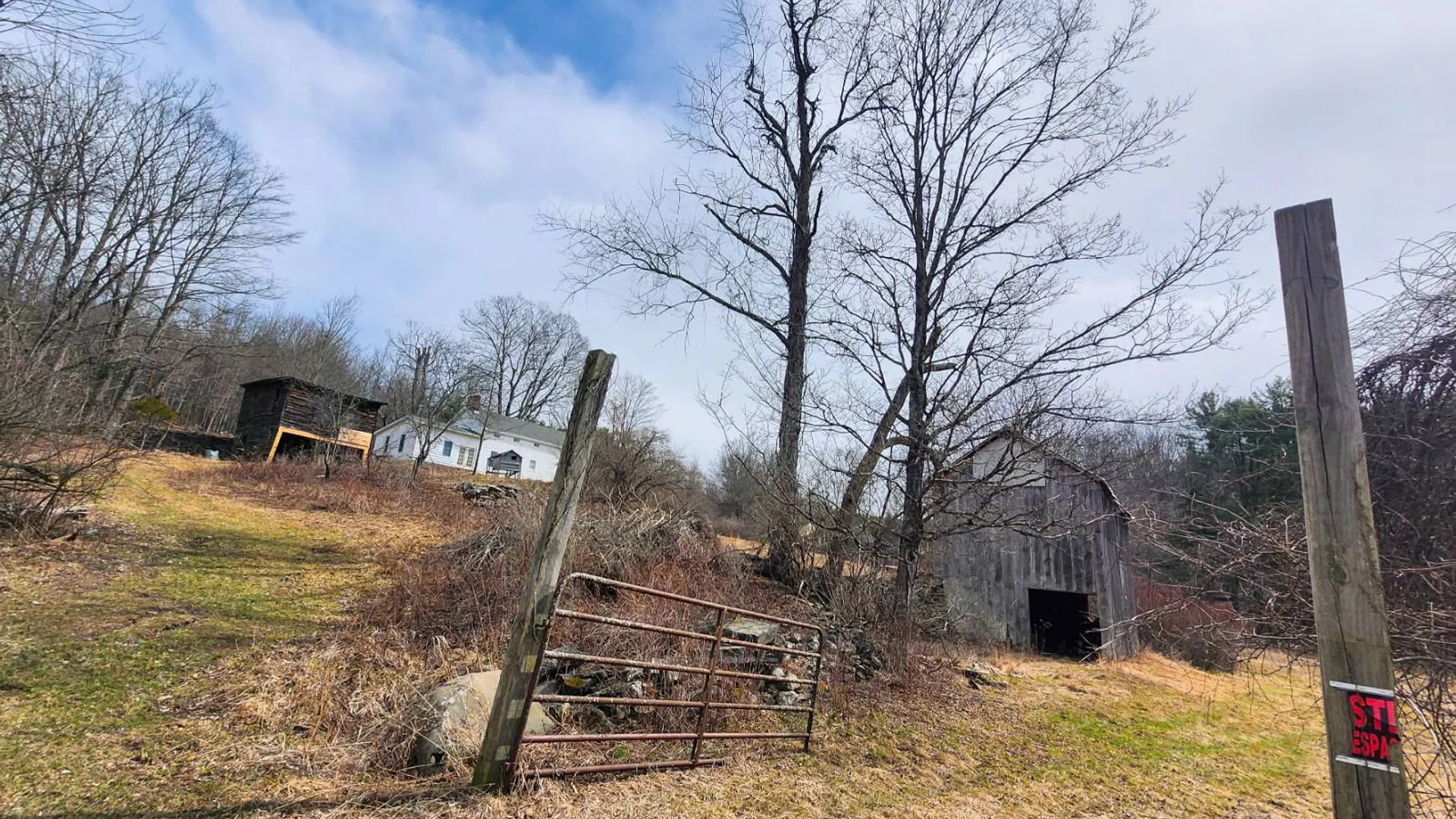 Property at 00WP#2 Drake Hill Rd, Freehold, NY 12431 8