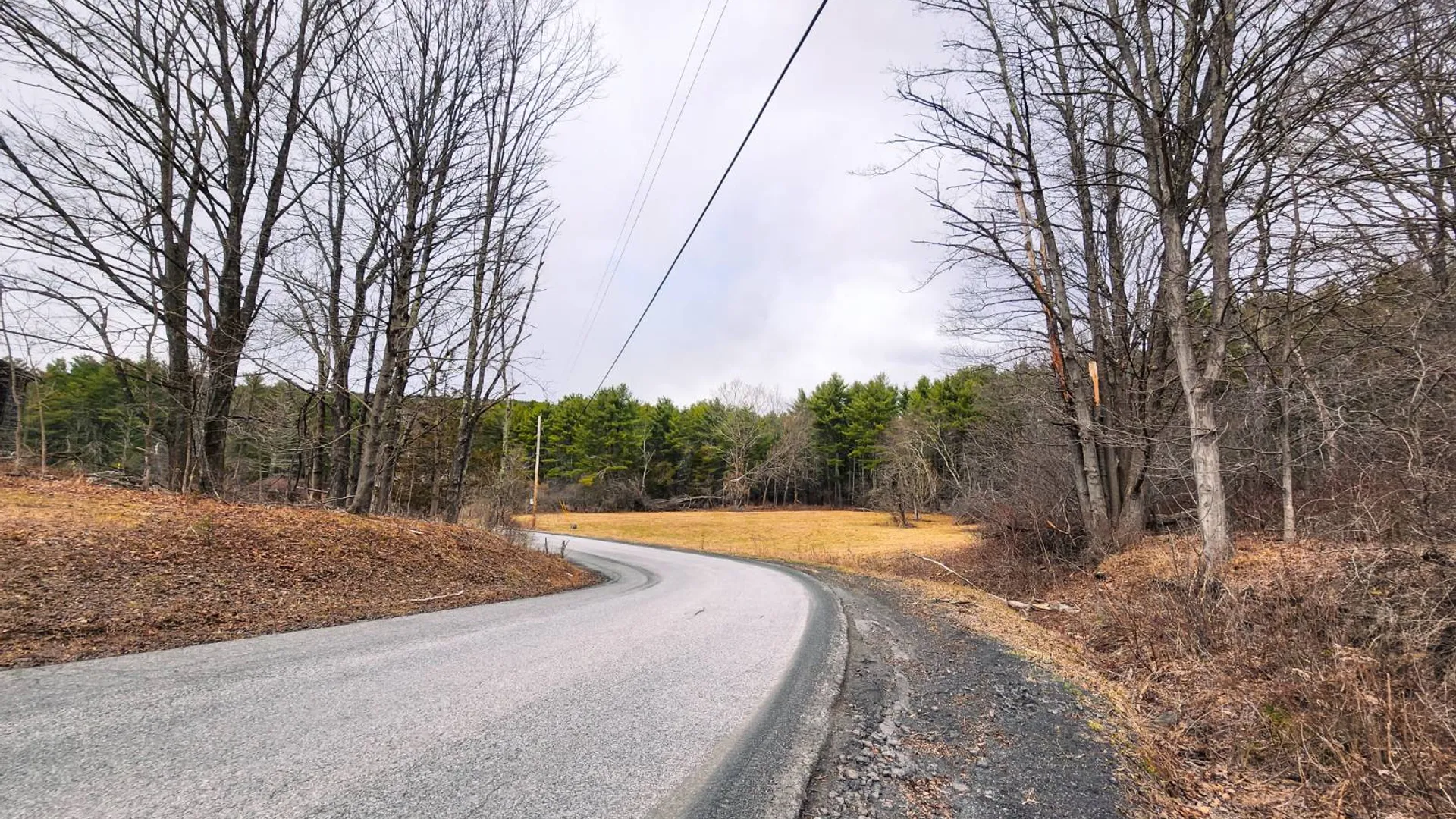 Property at 00WP3 Drake Hill Rd Lot #3, Freehold, NY 12431 2