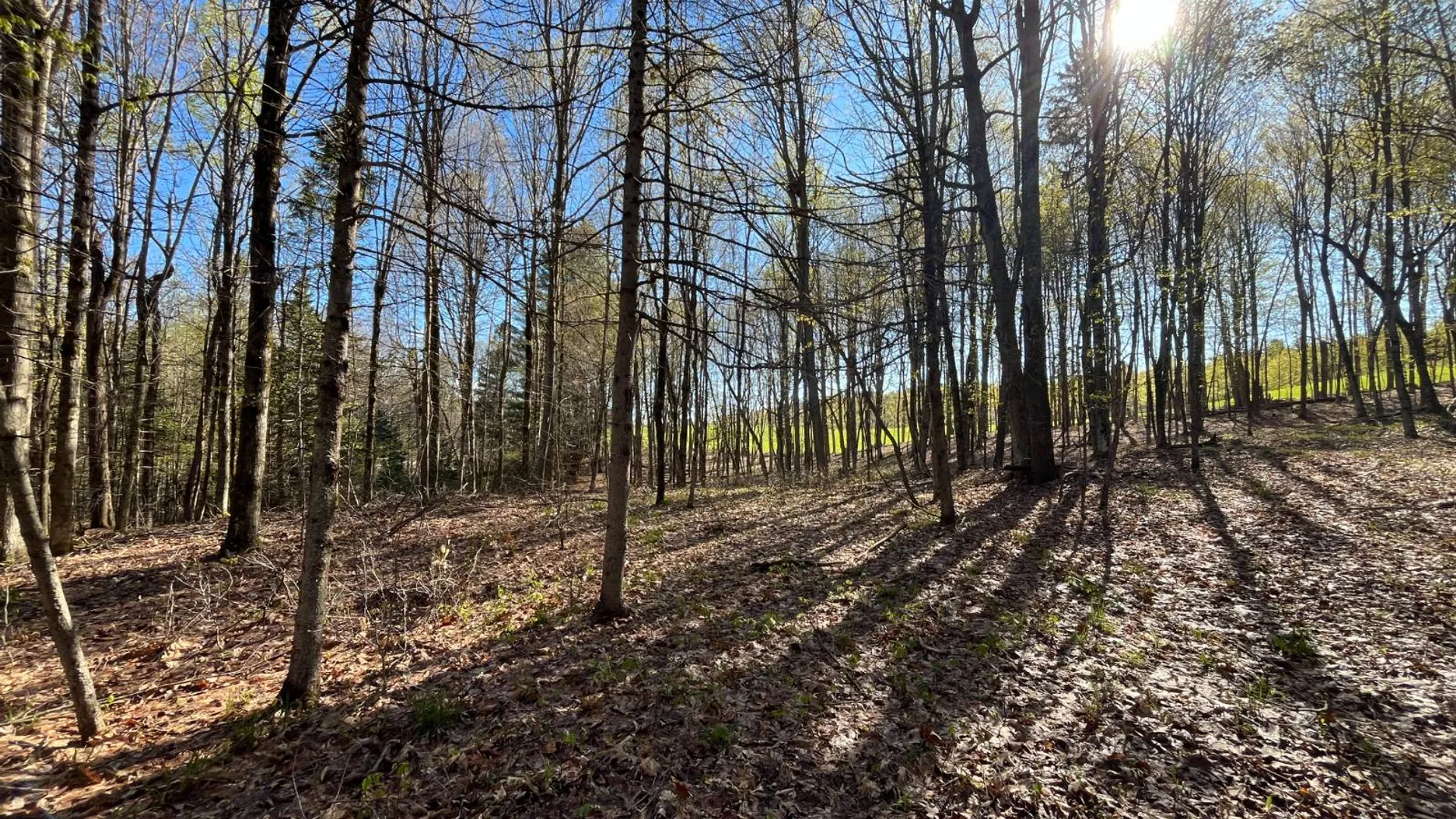 Property at 325 Lafaver Rd, Russell, NY 13684 11