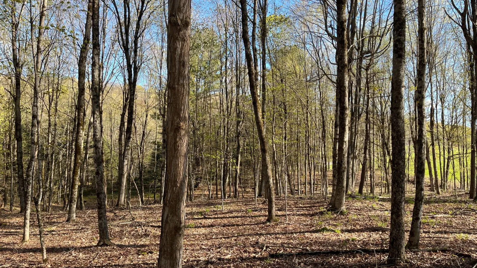 Property at 325 Lafaver Rd, Russell, NY 13684 12