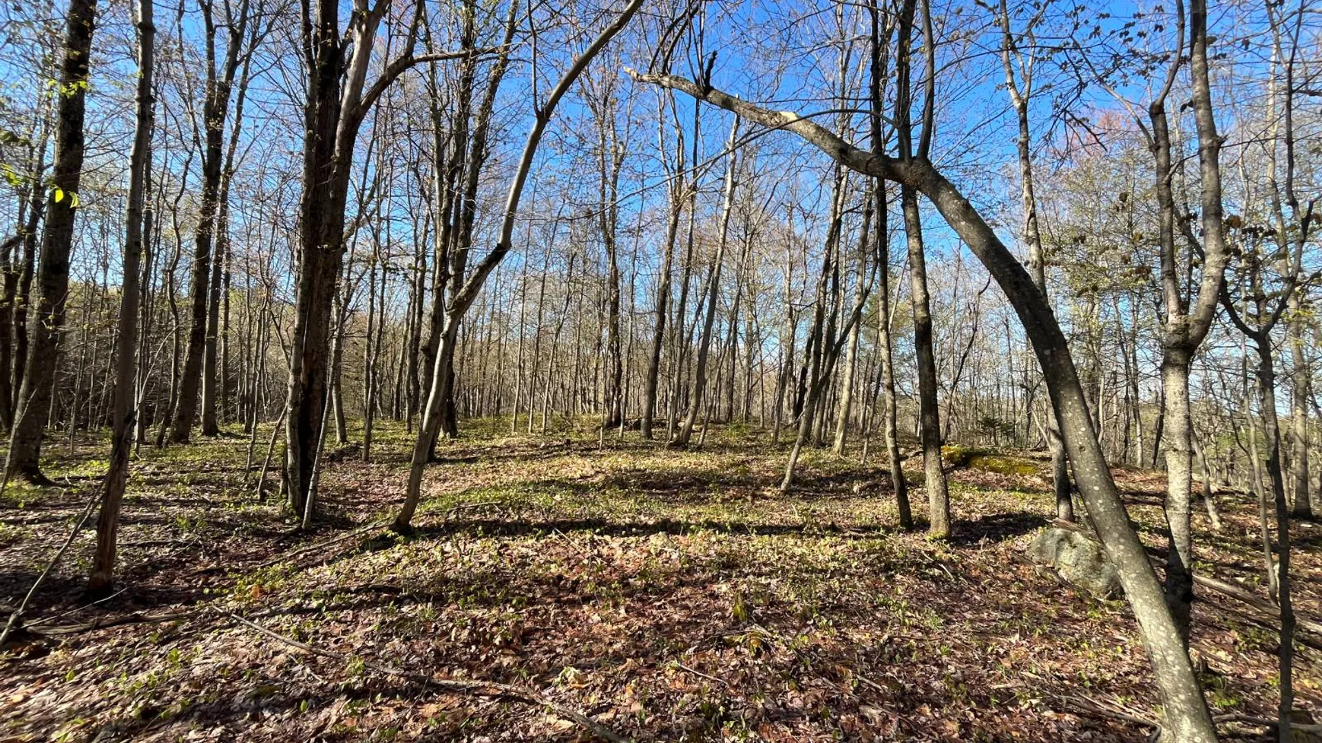 Property at 325 Lafaver Rd, Russell, NY 13684 15