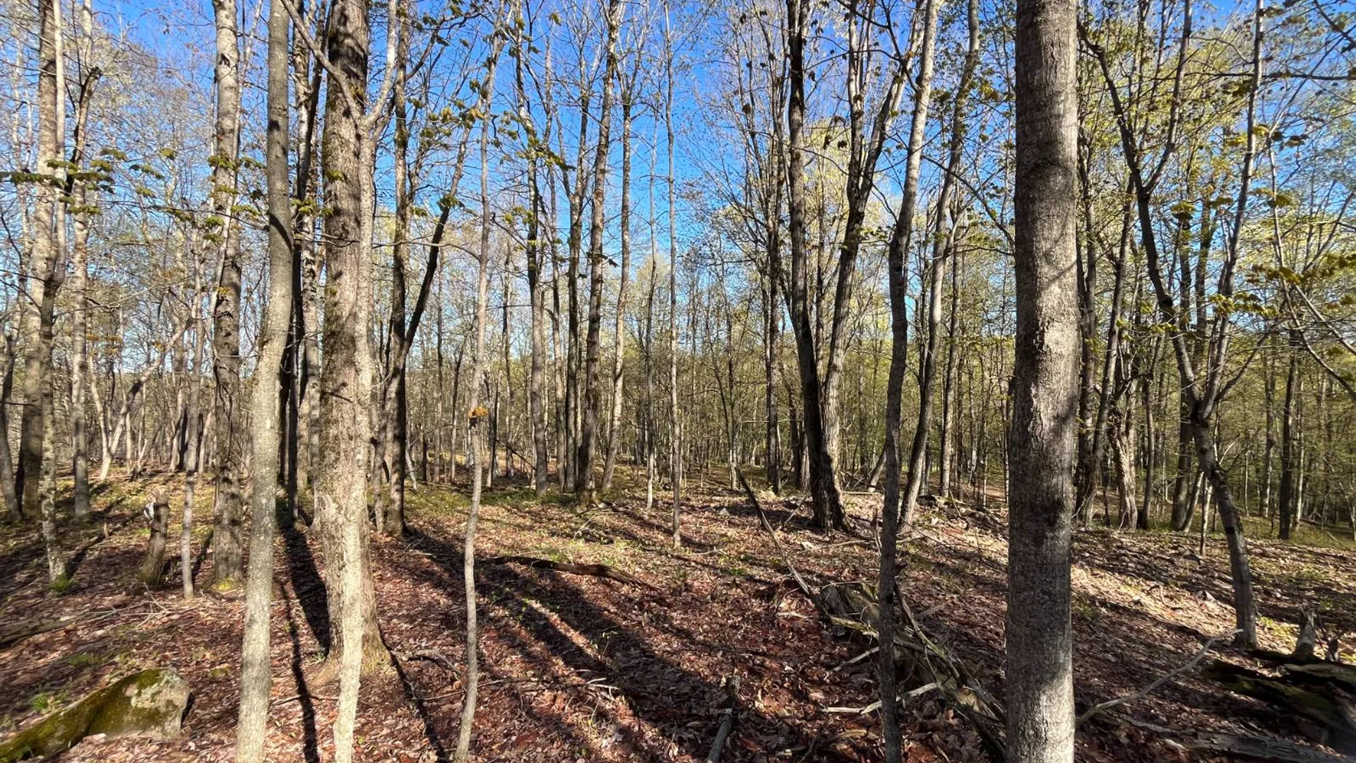 Property at 325 Lafaver Rd, Russell, NY 13684 16