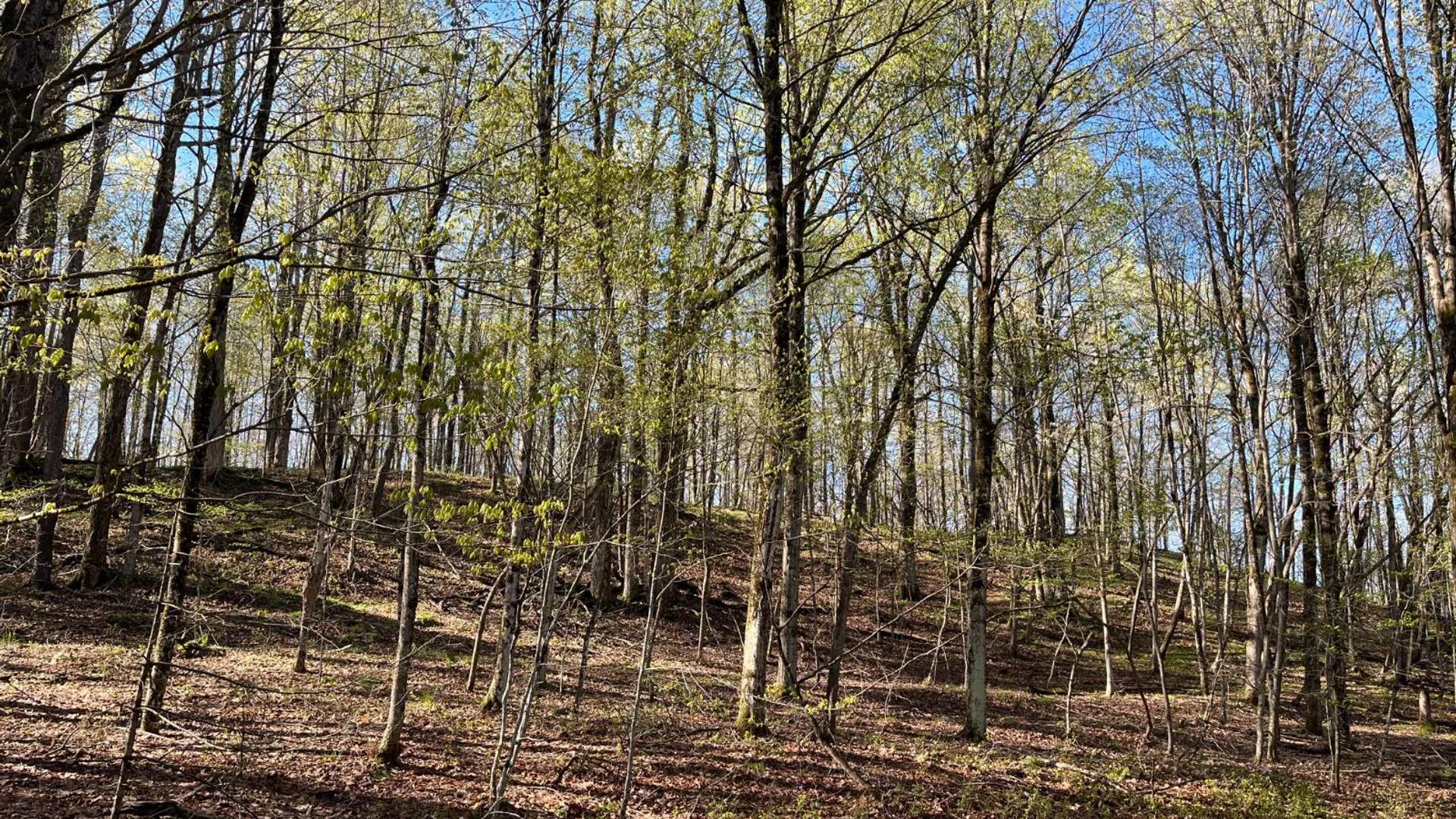 Property at 325 Lafaver Rd, Russell, NY 13684 18