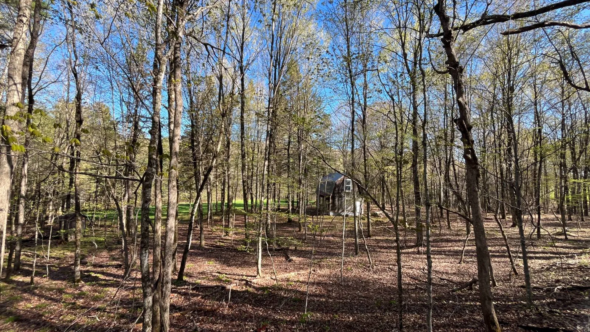 Property at 325 Lafaver Rd, Russell, NY 13684 19