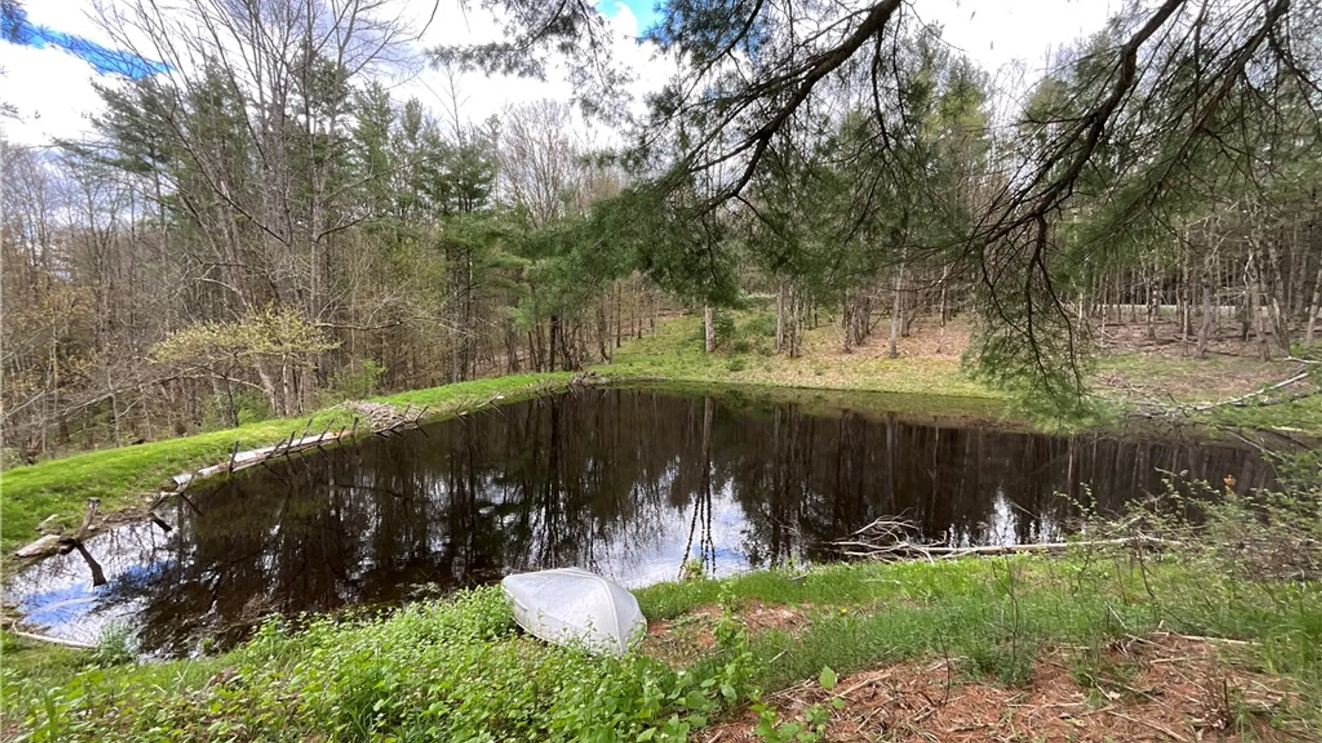Property at 480 Buckley Hill Road, Coventry, NY 13730 24