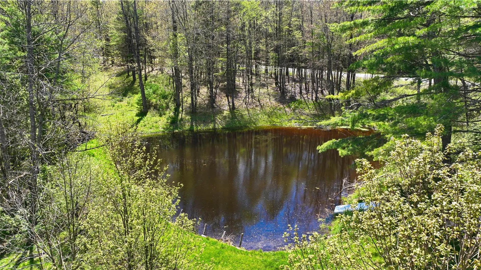 Property at 480 Buckley Hill Road, Coventry, NY 13730 31