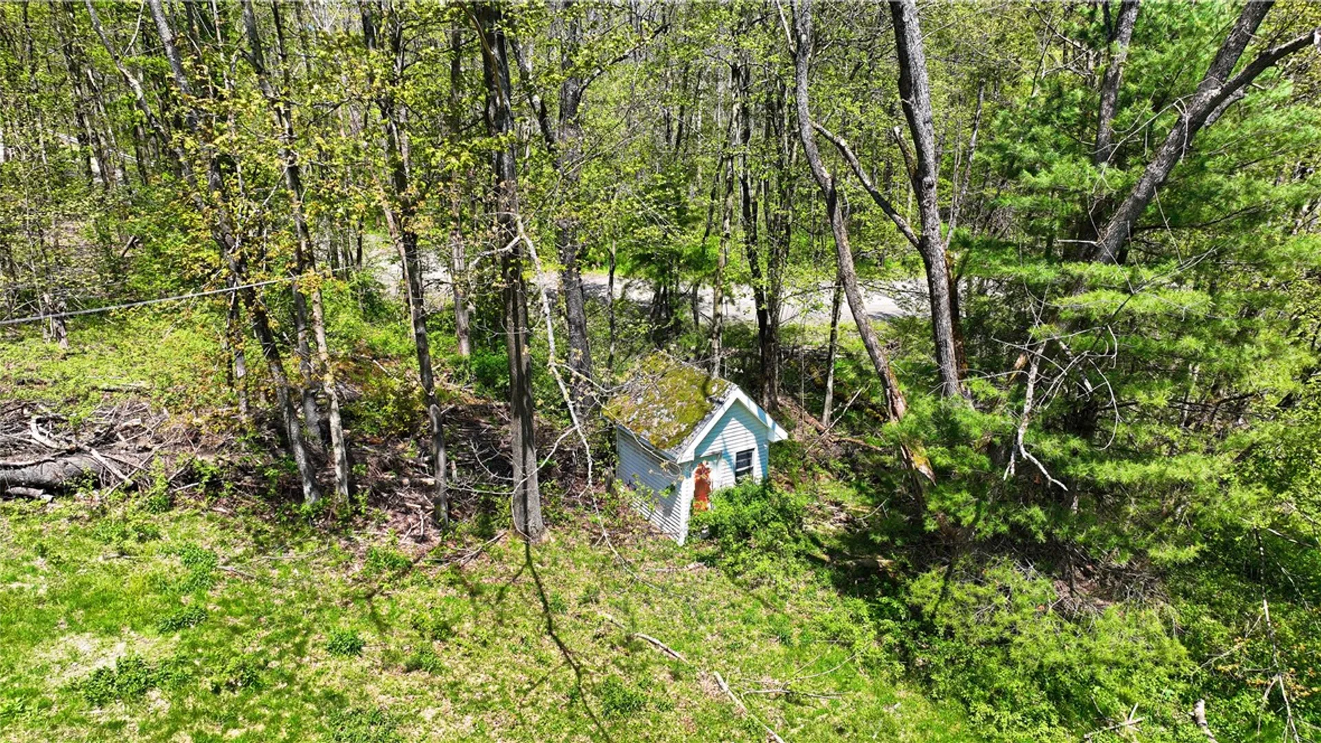 Property at 480 Buckley Hill Road, Coventry, NY 13730 34